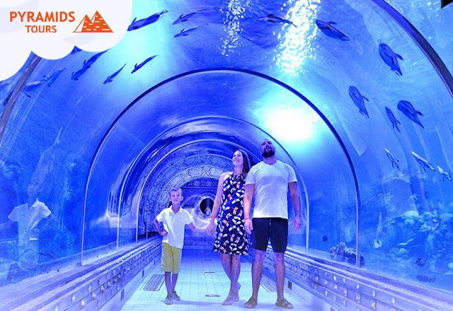 Hurghada Grand Aquarium Entry Tickets And Transfer