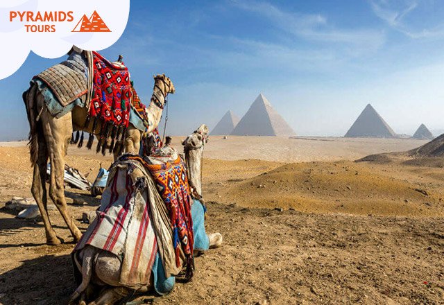 Excursion au Caire et aux pyramides depuis Hurghada en bus avec déjeuner